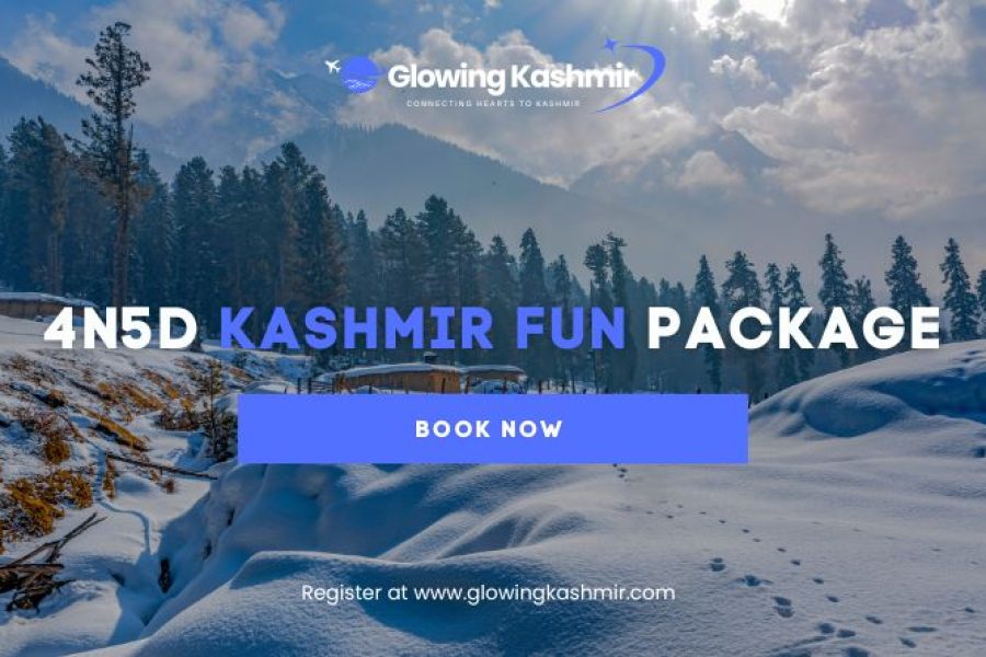 4N5D Kashmir Fun Tour Package